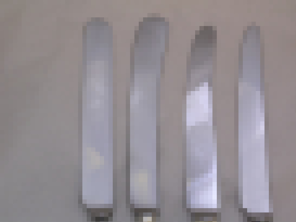DSCN8305