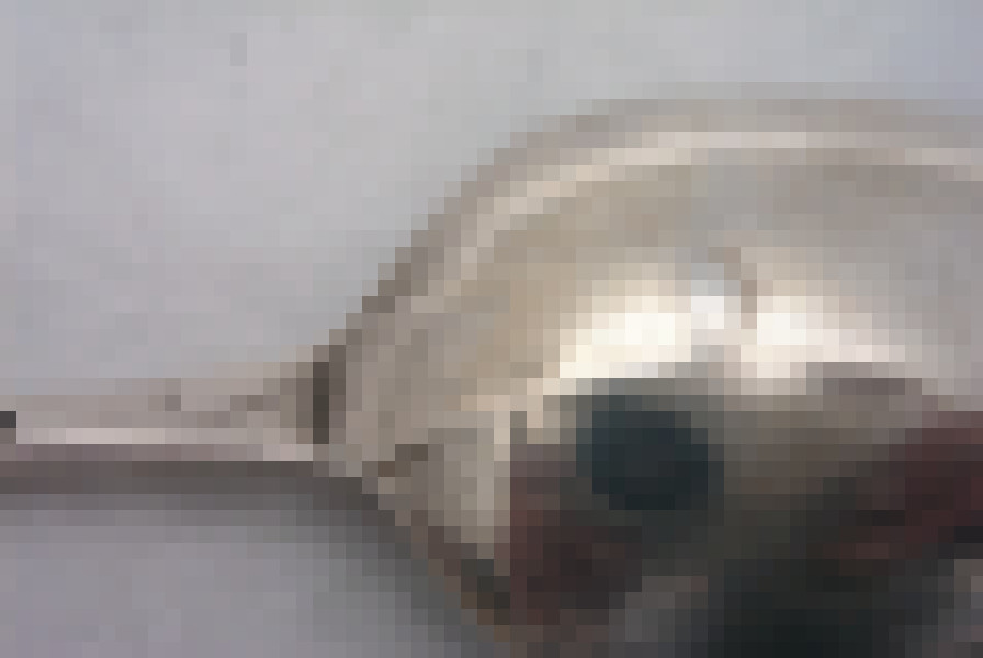 ExtDrop1