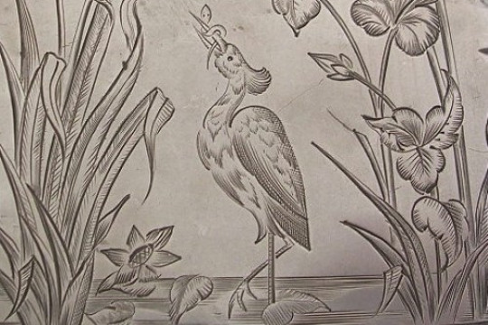 Aesthetic Naturalistic