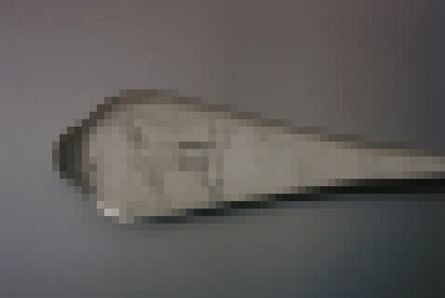 dognose
