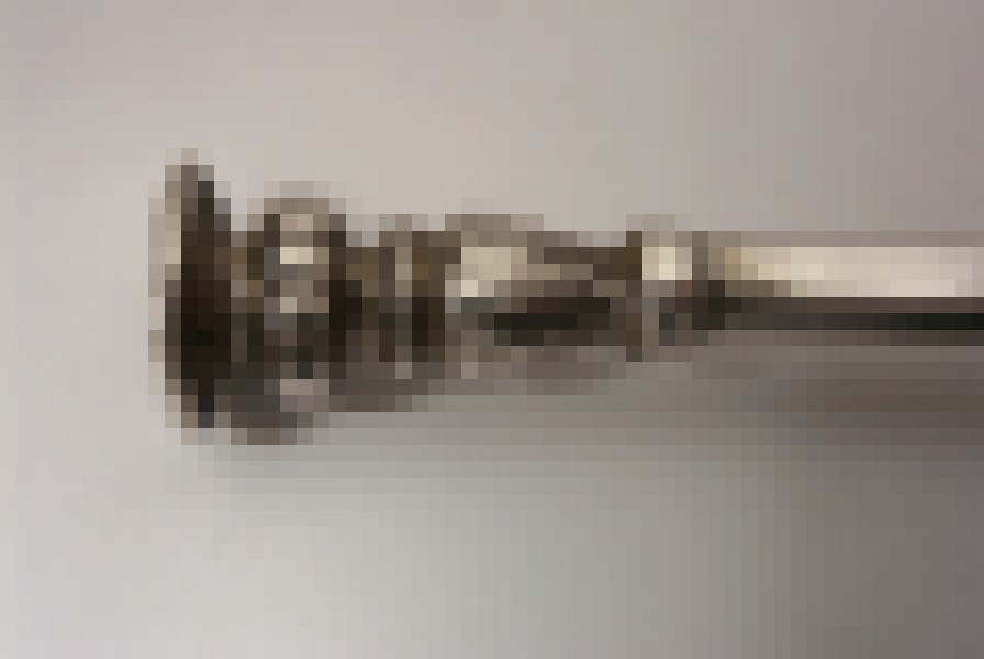 sealsp
