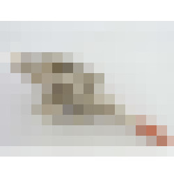 dscn3820