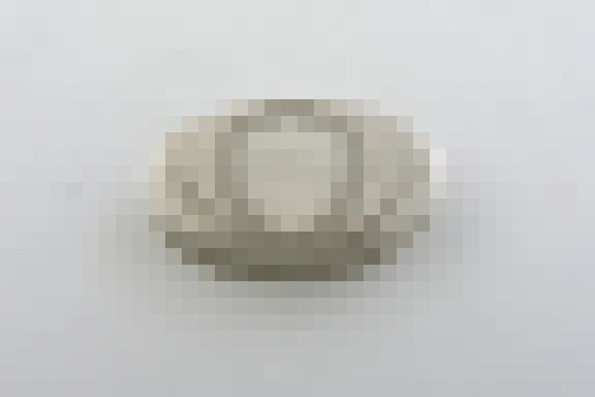 dscn4884 1