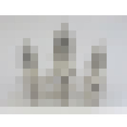 dscn4934