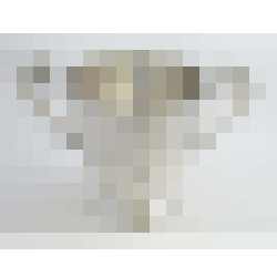 dscn4957