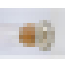dscn5000