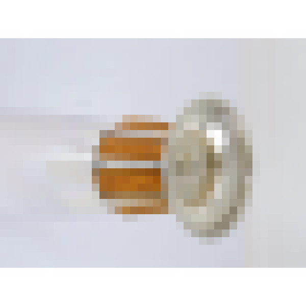 dscn5000