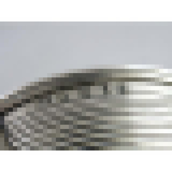 dscn7066