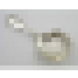 dscn7282 1