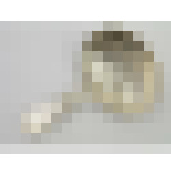 dscn7283