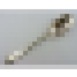 dscn7461 2