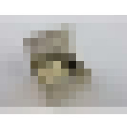 dscn7525
