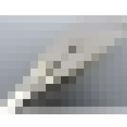 dscn7623 1 1
