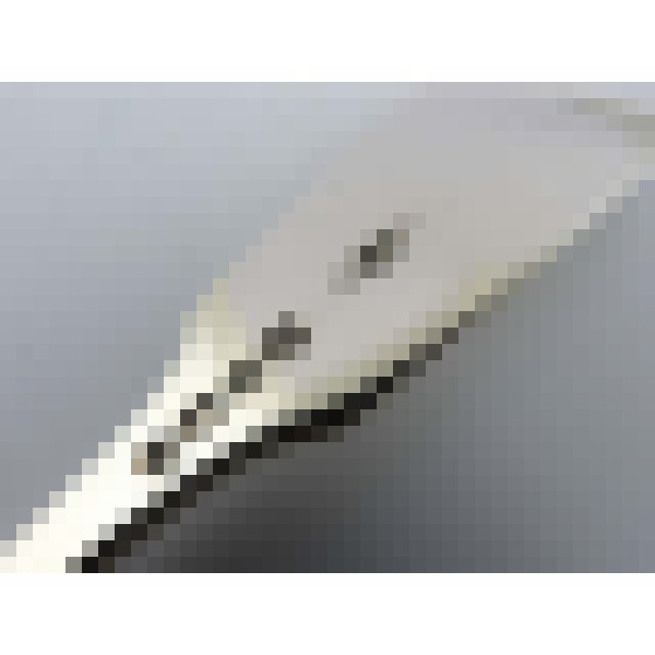 dscn7623 1 1