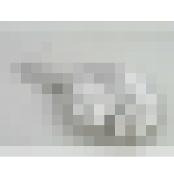dscn7640