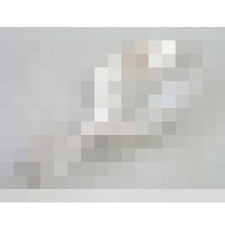 dscn8279