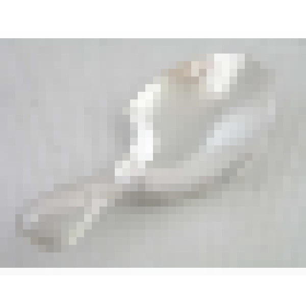 dscn8279