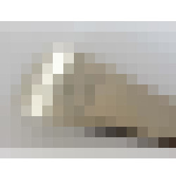 dscn8319