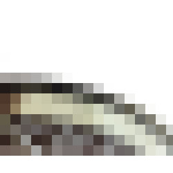 dscn8651 2