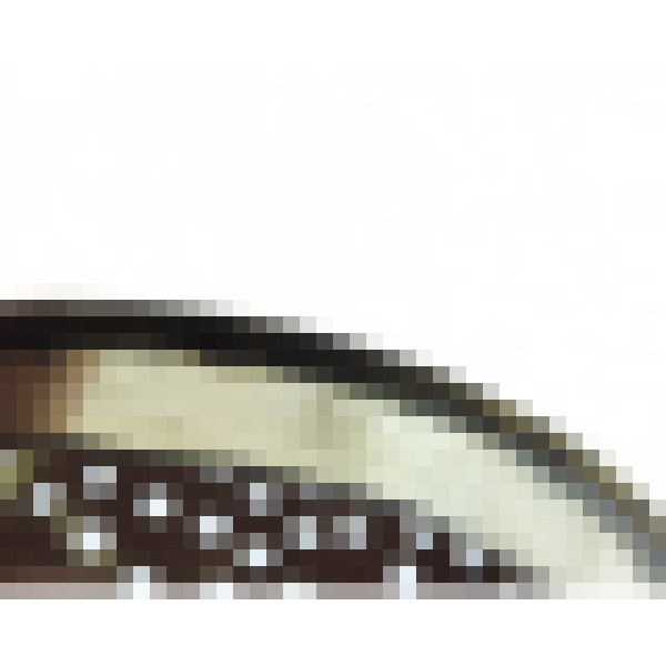 dscn8651 2