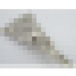 dscn8520