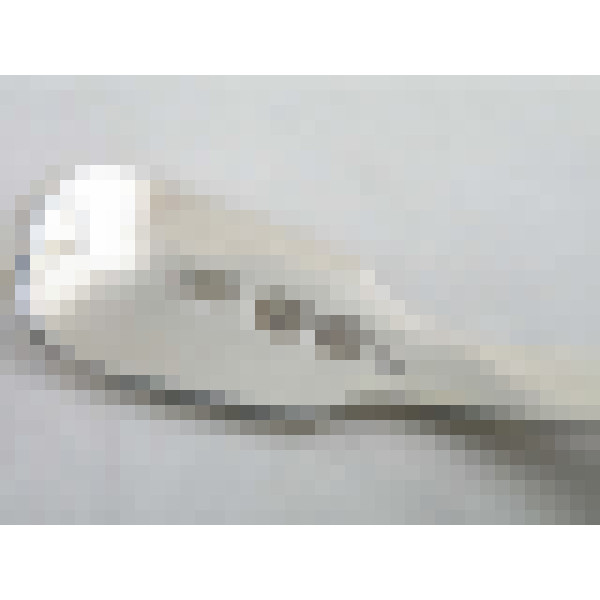 dscn0600